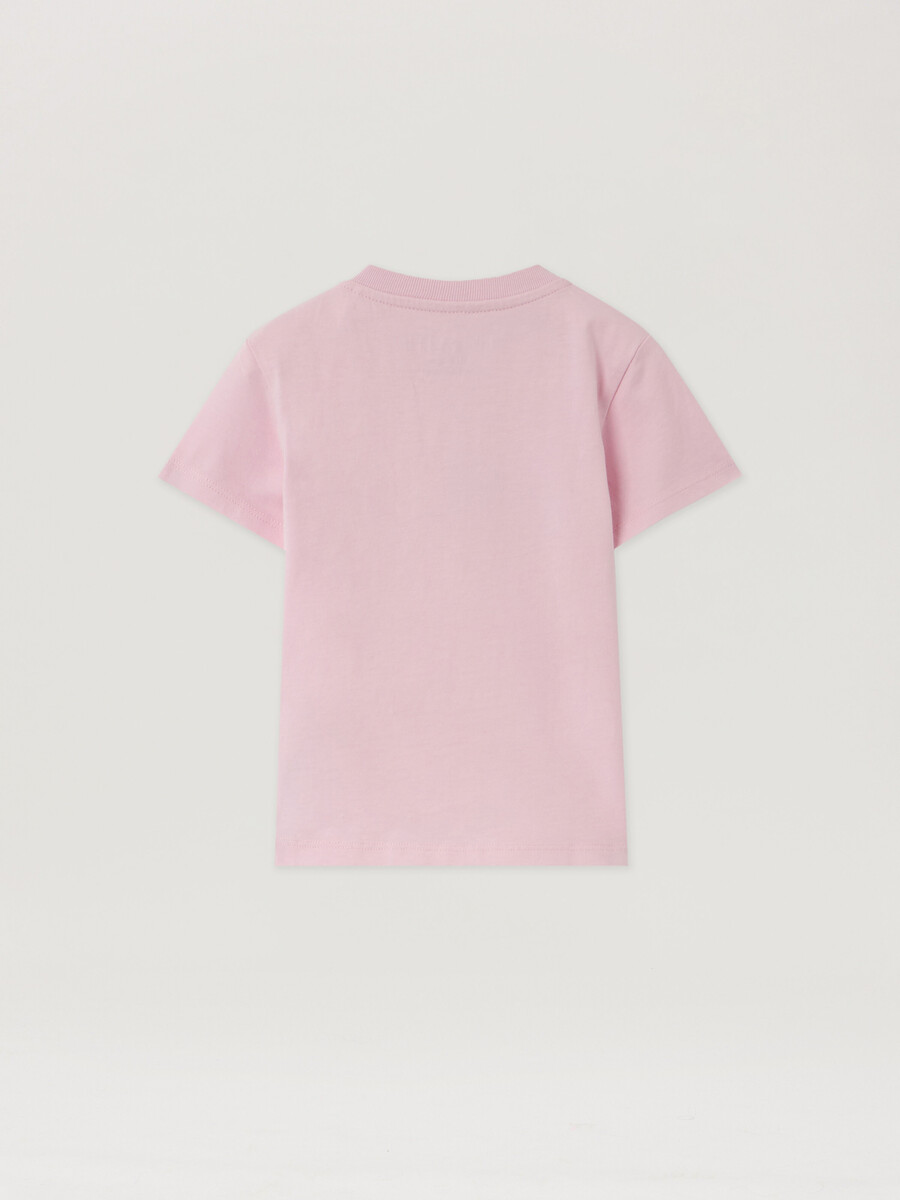 bären-tripack-t-shirt